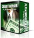 credit repair PLR newsletters