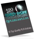 SEO PLR articles
